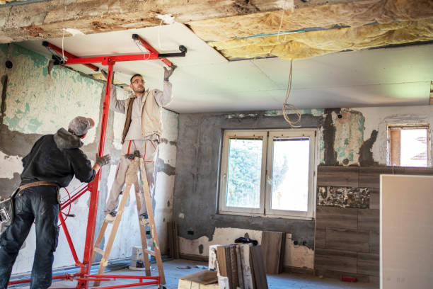 Best DIY Insulation Kits and Guidance in Brooksville, MS