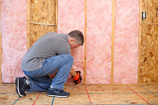 Professional Insulation Contractor in Brooksville, MS