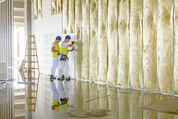 Best Geographic-Specific Insulation Services in Brooksville, MS